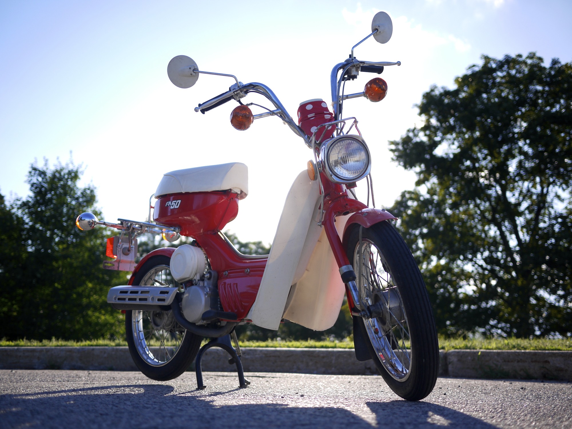 Little Red Glamour Shot