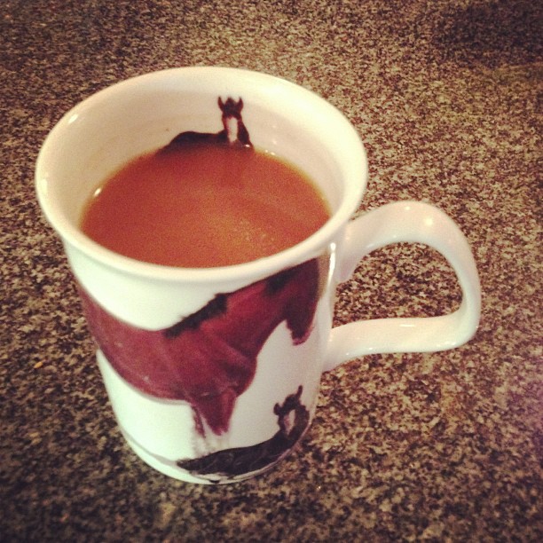 Morning coffee in a pony mug. Perfect start to the ski trip #ilovermont
