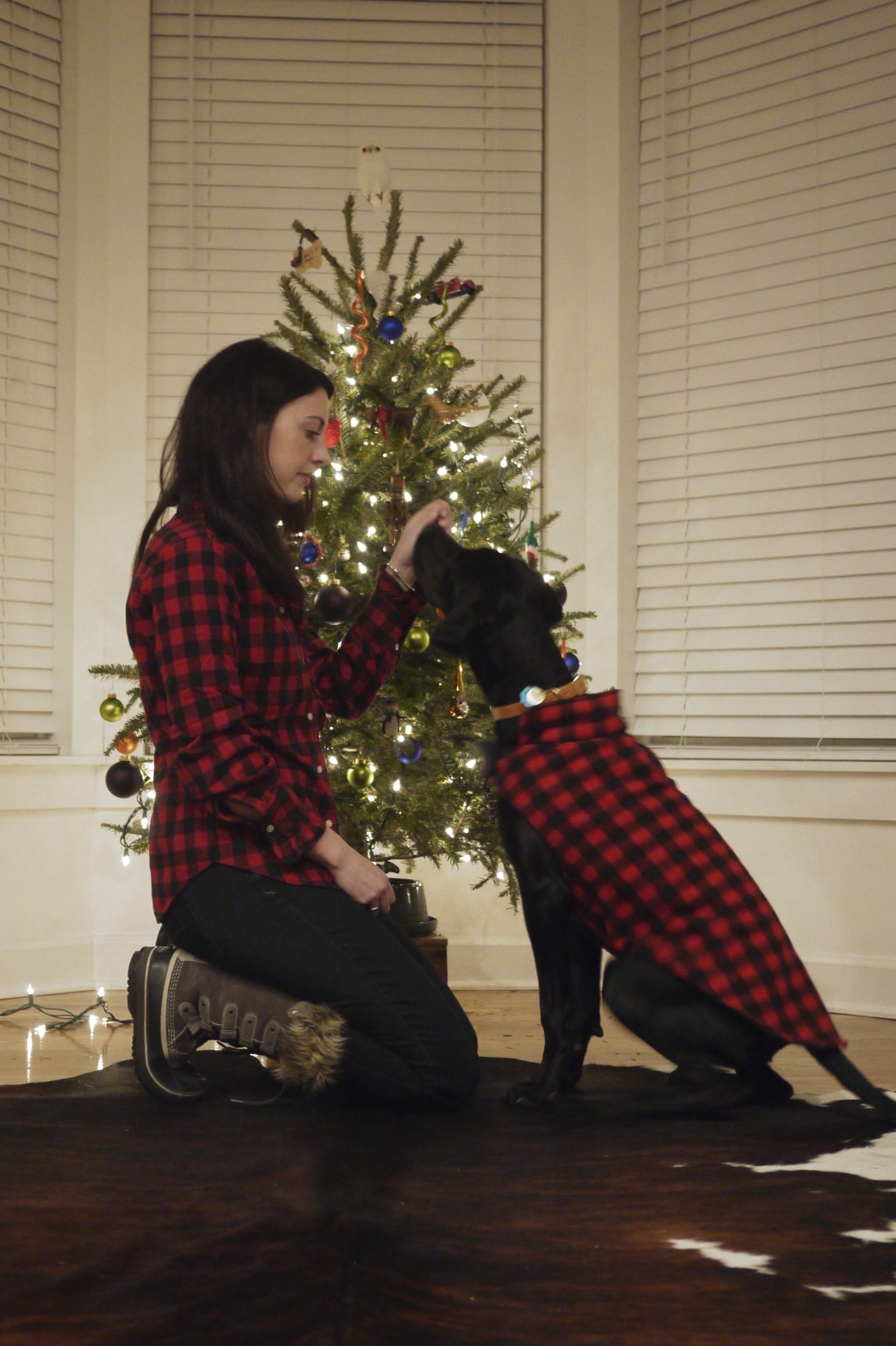 Christmas family photo