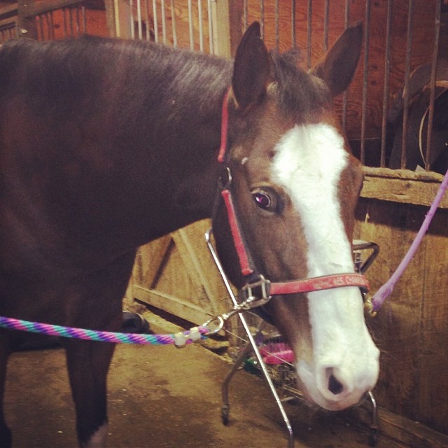 Big, sweet Krogie. He makes me better, always.