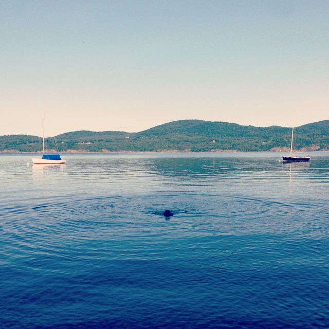 Last morning swim for Huckleberry. Bye for now Lake Champlain!